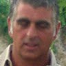 Bruno Gori