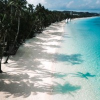 Kim Nguyen (Ship Chandler)