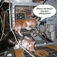 Compu Solutions