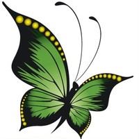 Carnahans Landscaping