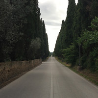 Claudio Mei