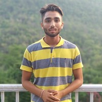Raman Saini