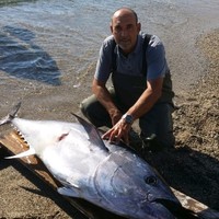 Francesco Verboso