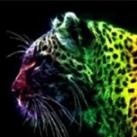 Commerciale Painter