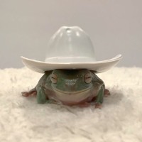 Fernanda Lafrog