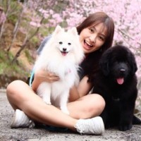 Camila Chen