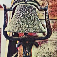 Barbara  Donalson Liquidators