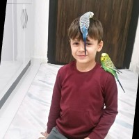 Ahmet Gökşen