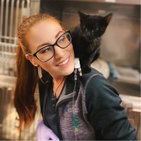 Ashley A.