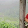林昱捷