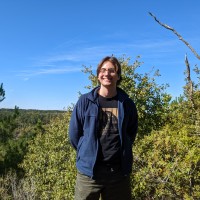 Noah Krivi