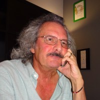 Ric Giner (IT Consultant)