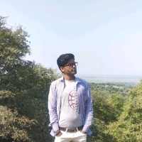 Raju Ameta