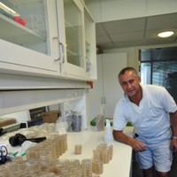 Jafar Razzaghian