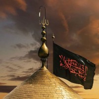 Sayyed Zaitoon