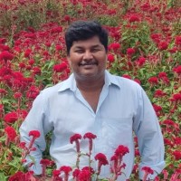 N.GOPALA KRISHNAN
