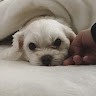박진희