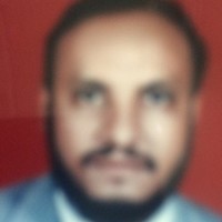 Mohamed Abdel Wareth