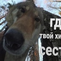 Bert Banaan