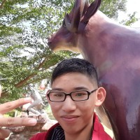 Hardy Yang