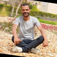 هانى فؤاد