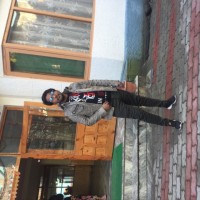 Anshu Koli