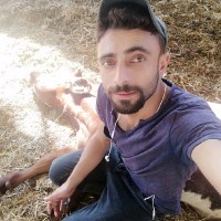 Yunus Algul