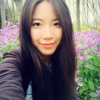 Wenlin WANG