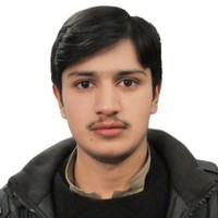 Waqar Ali