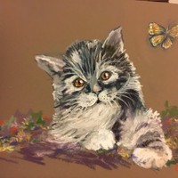Cyndy Falcoff