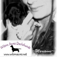 Marianne Wilson