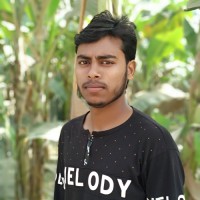 Freelancer Masud