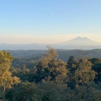 Trek King Belize Travels