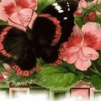 Melody Coger