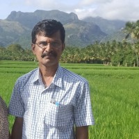 Manoharan S