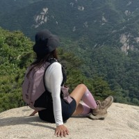 박데레사