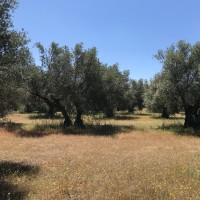 Pti Agriambio