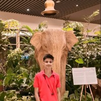 Shashank Singh