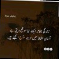 Huda Huda