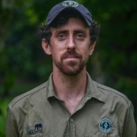 Gwili Gibbon