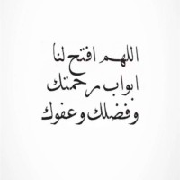 شما العامري