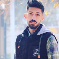 Hamid Reza