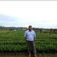 Mhd Faisal Sitompul