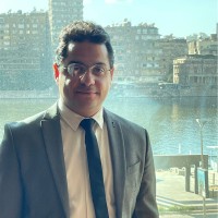 Walid Mostafa