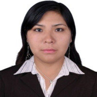 Lourdes Liliana Pacheco Arizaca