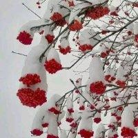 杰杰高升