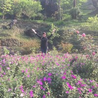 Nga Thai