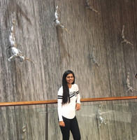 Nausheen Dinani