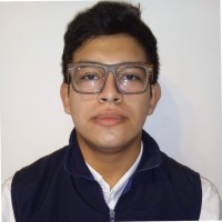 Mateo Nicolás Alcaraz Rojas