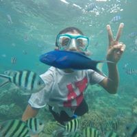 Fergiawan Alfianto